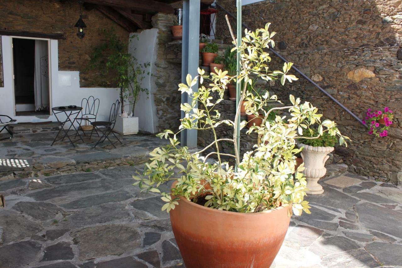 Agroturismo Casal De Castro Avantos Exterior photo